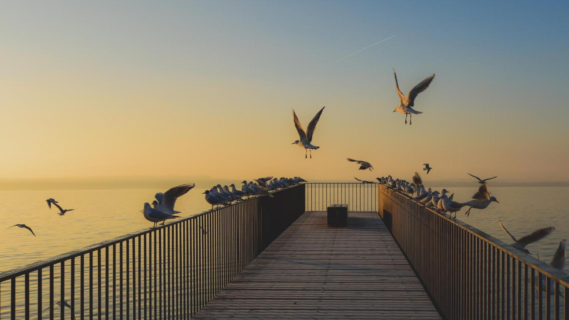 Bnb Les Prises Les Ponts-de-Martel Bagian luar foto